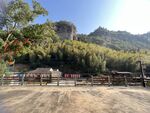 乐清黄檀硐森林康养基地 