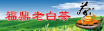 白茶