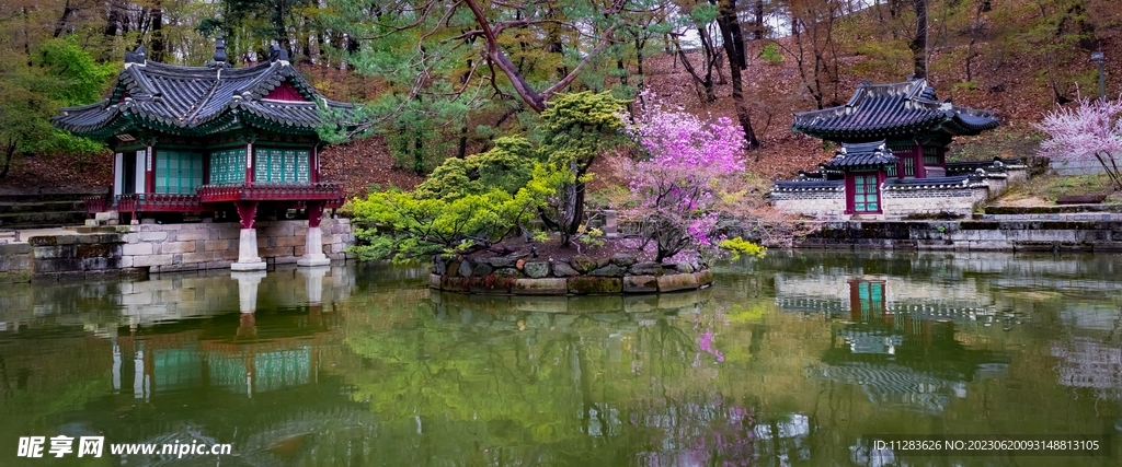 园林风景