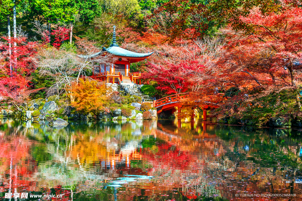 园林风景