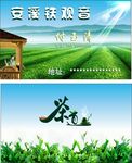茶叶名片