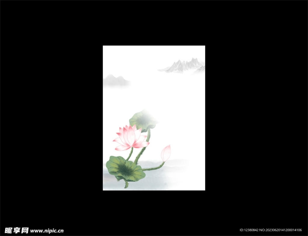 荷花