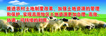 农牧业标语