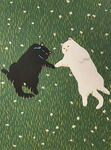 玩耍的猫咪