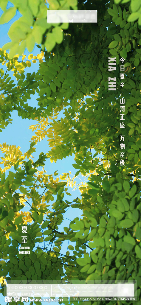 夏至