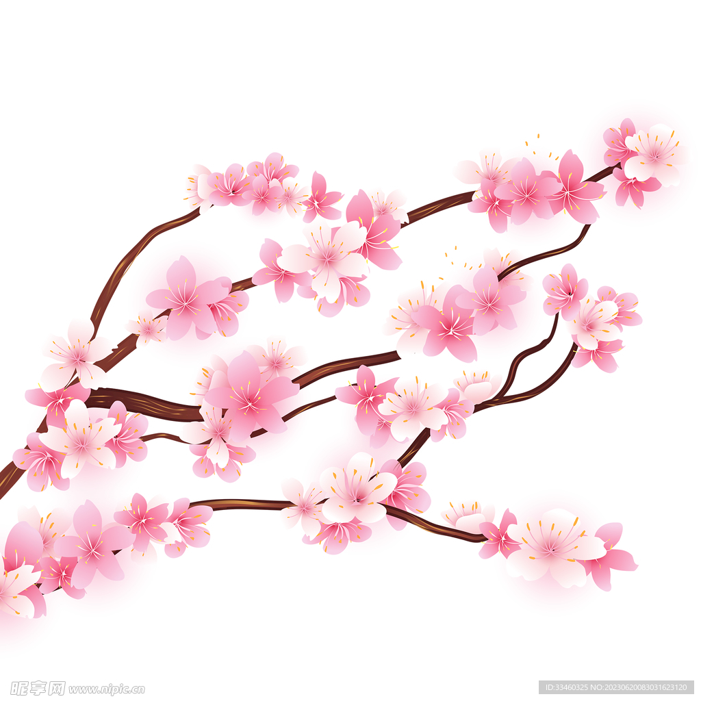 桃花