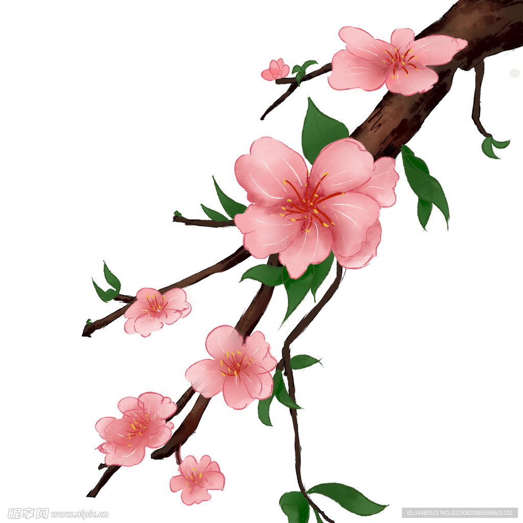 桃花