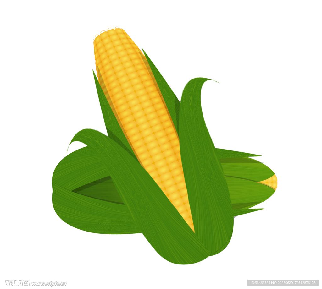 玉米卡通玉米图片素材-编号15050099-图行天下