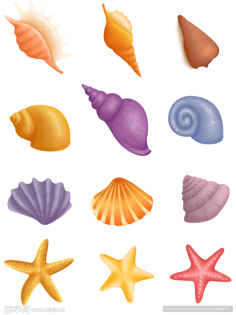 贝壳
