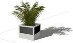盆栽植物模型