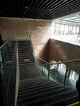 大青山红色文化公园楼梯