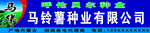 马铃薯销售 牌匾