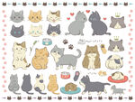 猫