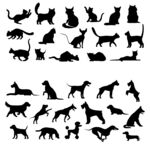 猫狗剪影