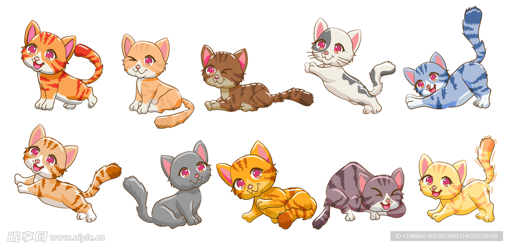 小猫