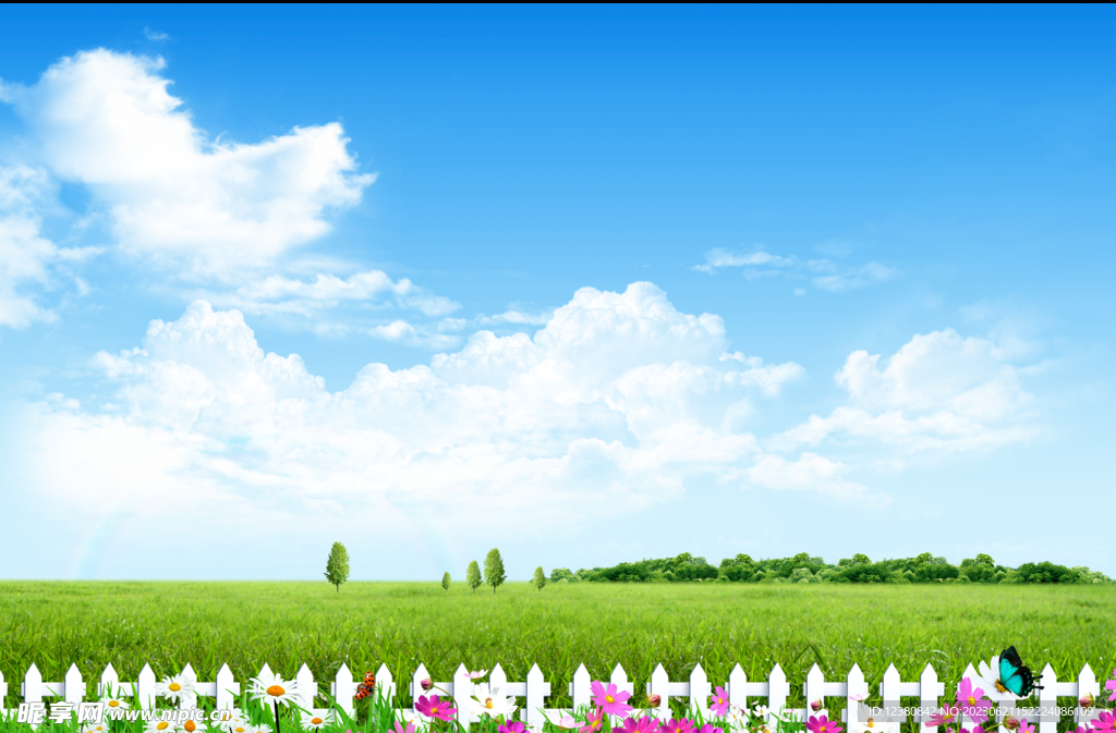 蓝天草地