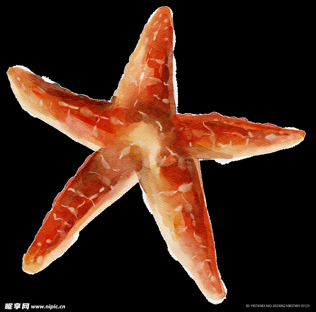  海洋元素 