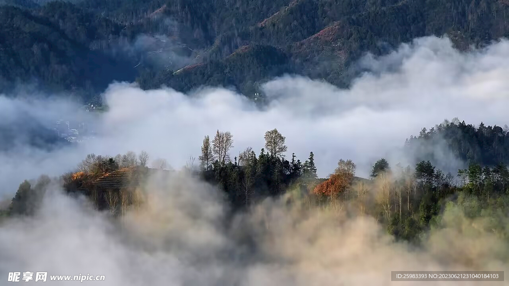 云山雾罩