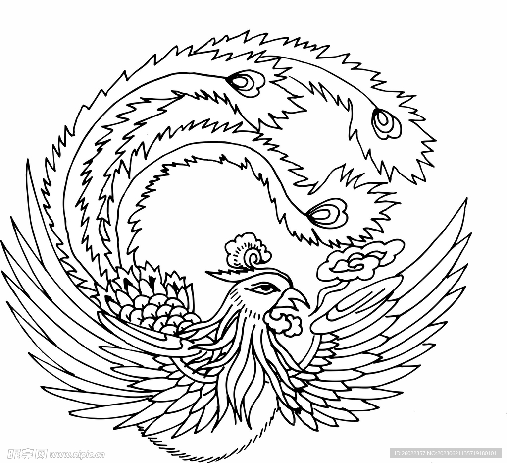 圆形凤凰   矢量 