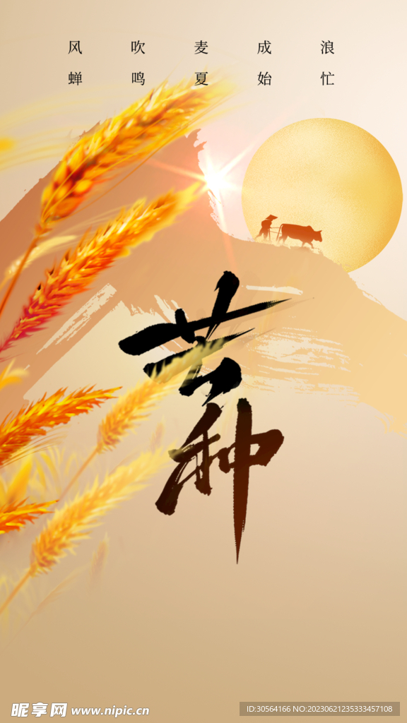 芒种