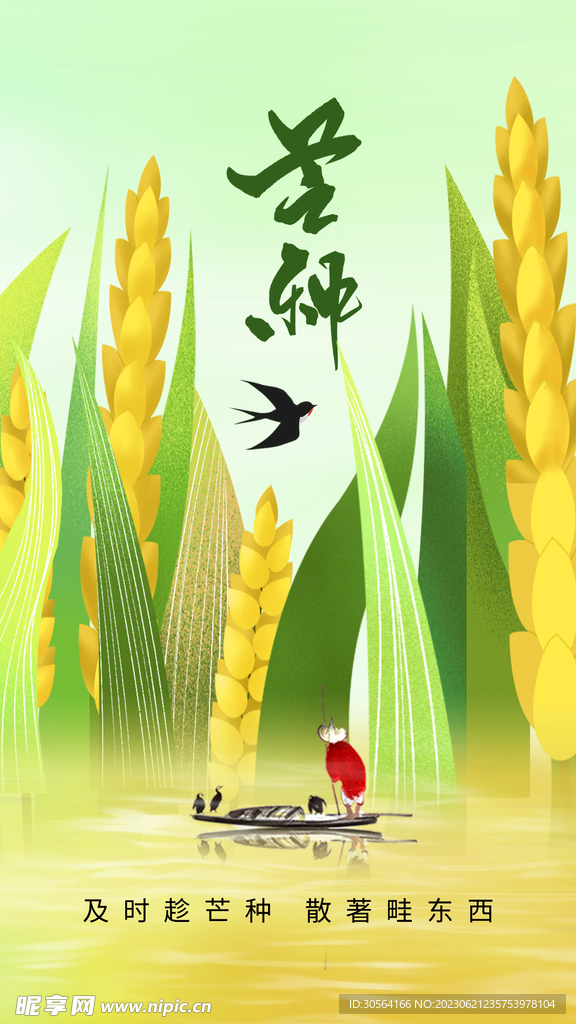 芒种