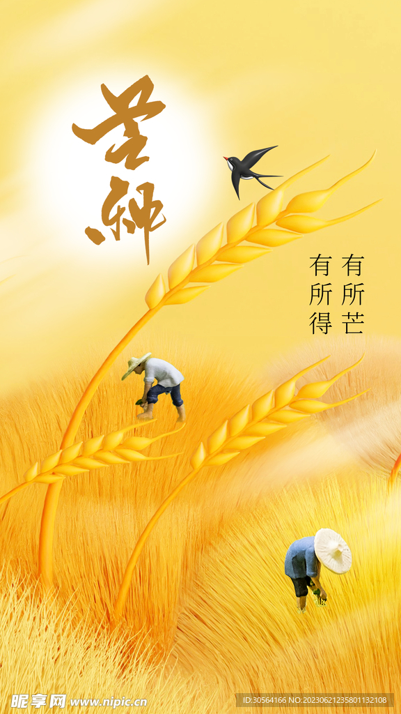 芒种