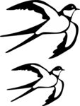 燕子