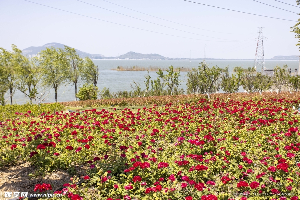 东平湖环湖路