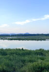 东平湖湿地