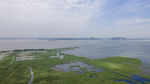 东平湖湿地
