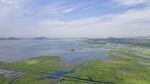 东平湖湿地