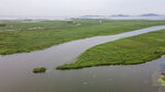 东平湖湿地