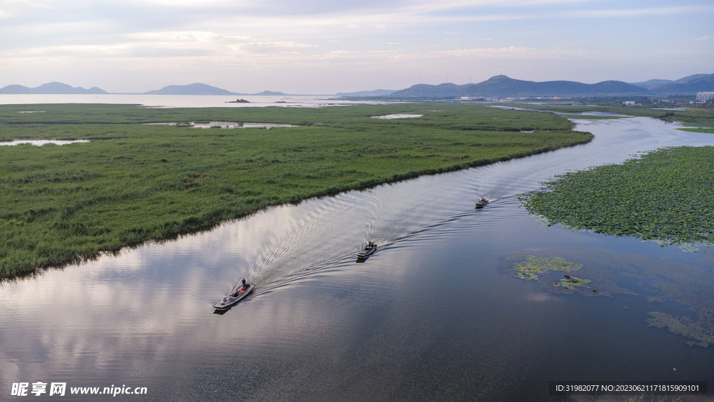 东平湖湿地