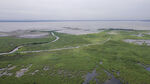 东平湖湿地