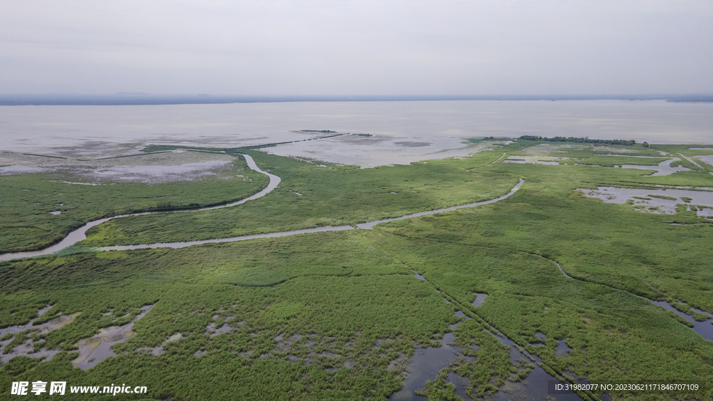 东平湖湿地