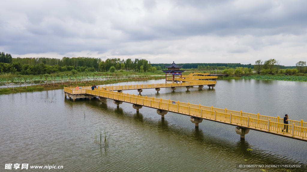 东平湖湿地公园