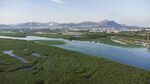 东平湖湿地