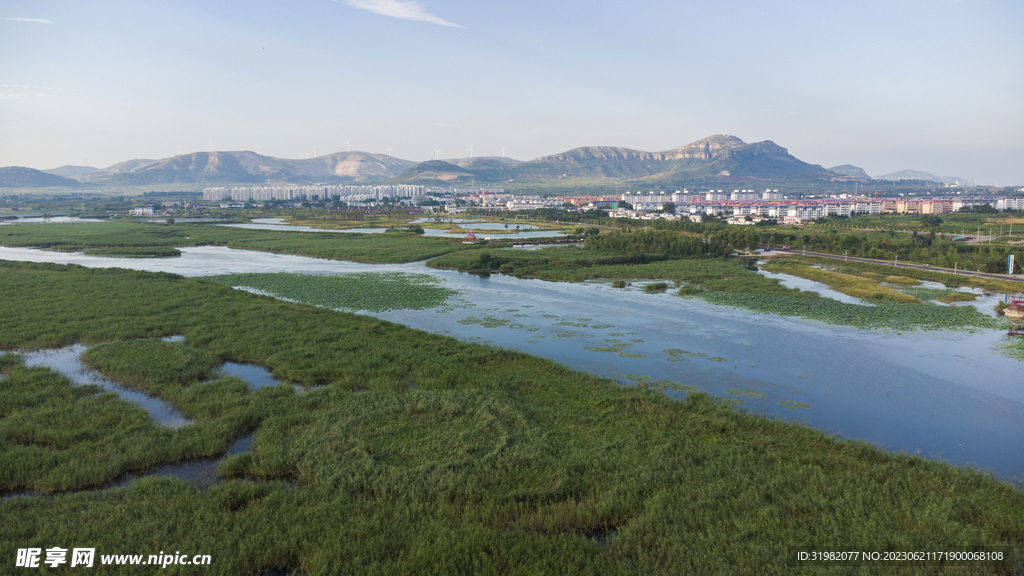 东平湖湿地