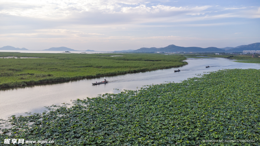 东平湖湿地