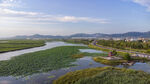 东平湖湿地