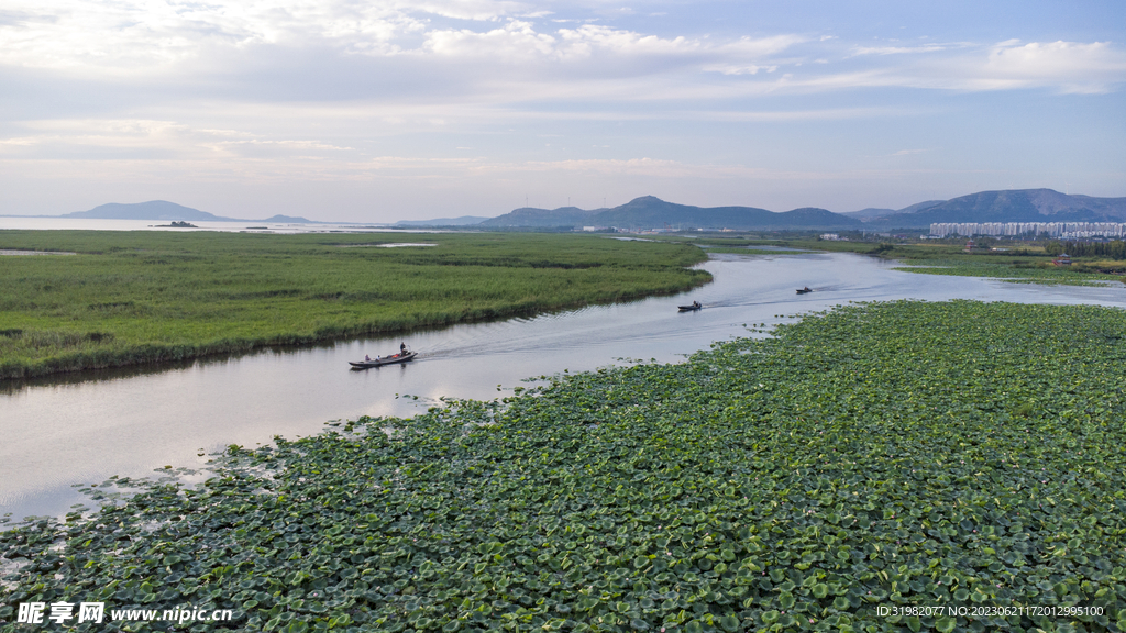 东平湖湿地