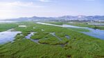 东平湖湿地