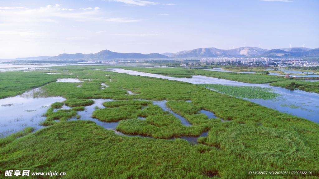 东平湖湿地