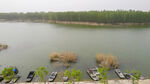 东平湖