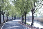 稻屯洼国家城市湿地公园