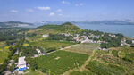 东平湖腊山