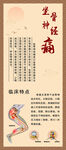 养生