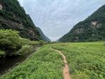河沟 草坪