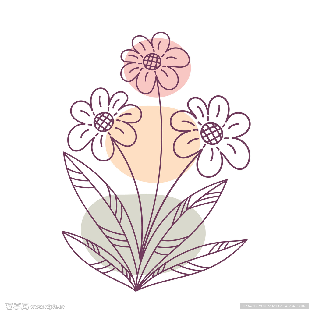 手绘花纹
