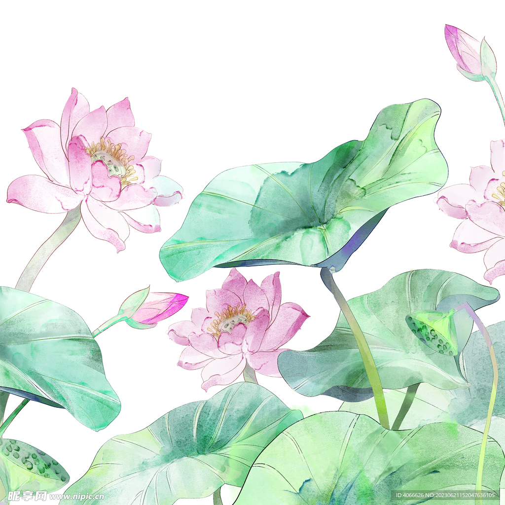 国画夏荷背景底纹